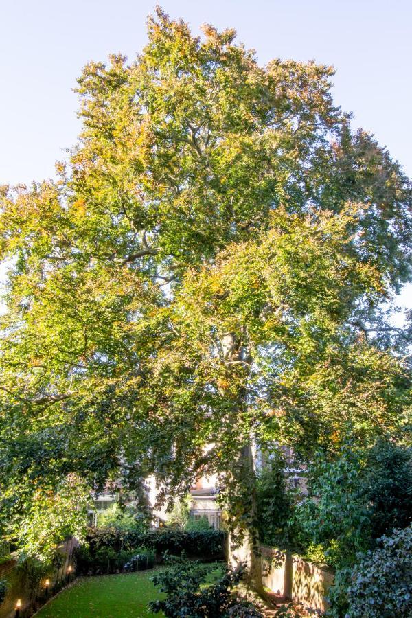 Bed and Breakfast The Old Beech Anversa Esterno foto
